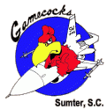 <em>Edit Chapter</em> IPMS/Gamecocks Logo